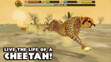 Cheetah Simulator взлом