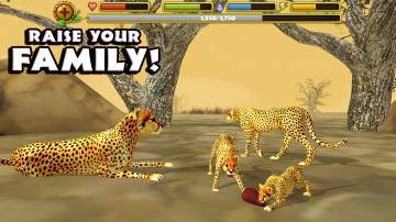 Cheetah Simulator секреты